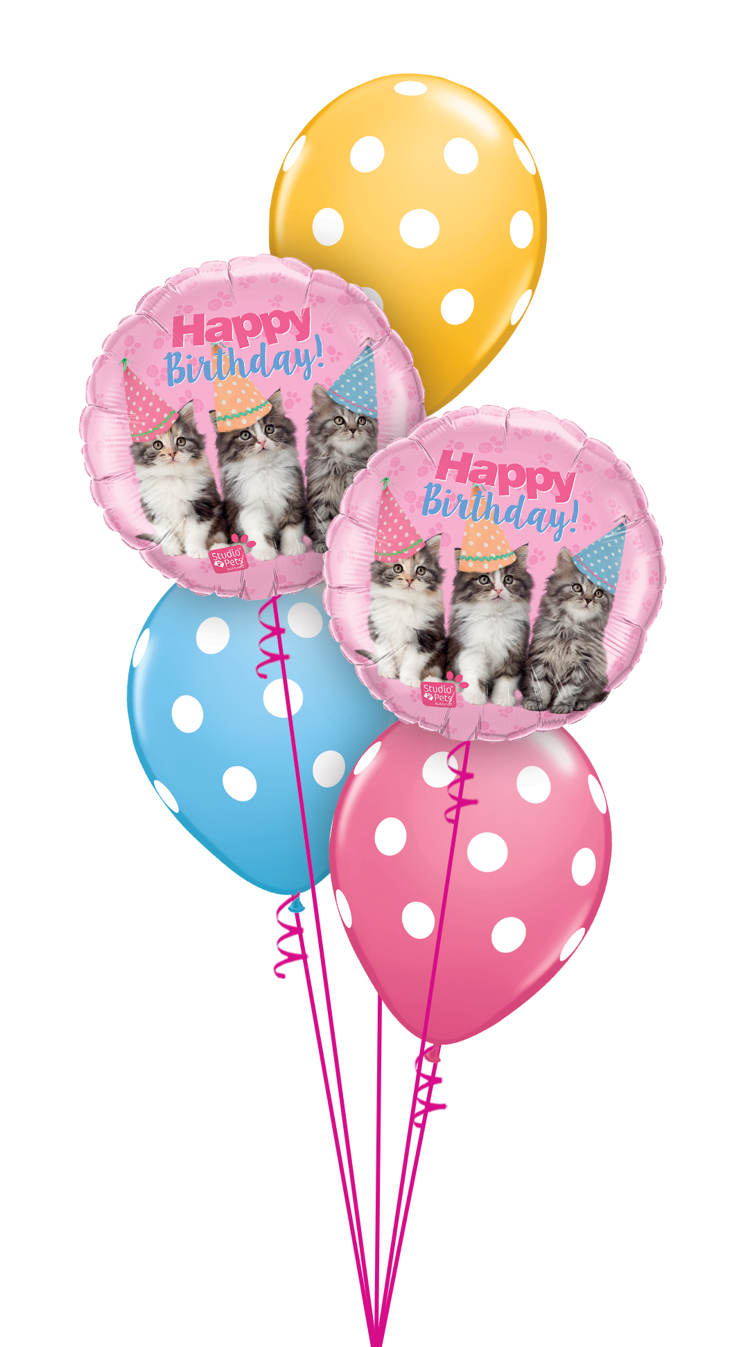 Birthday Kitties