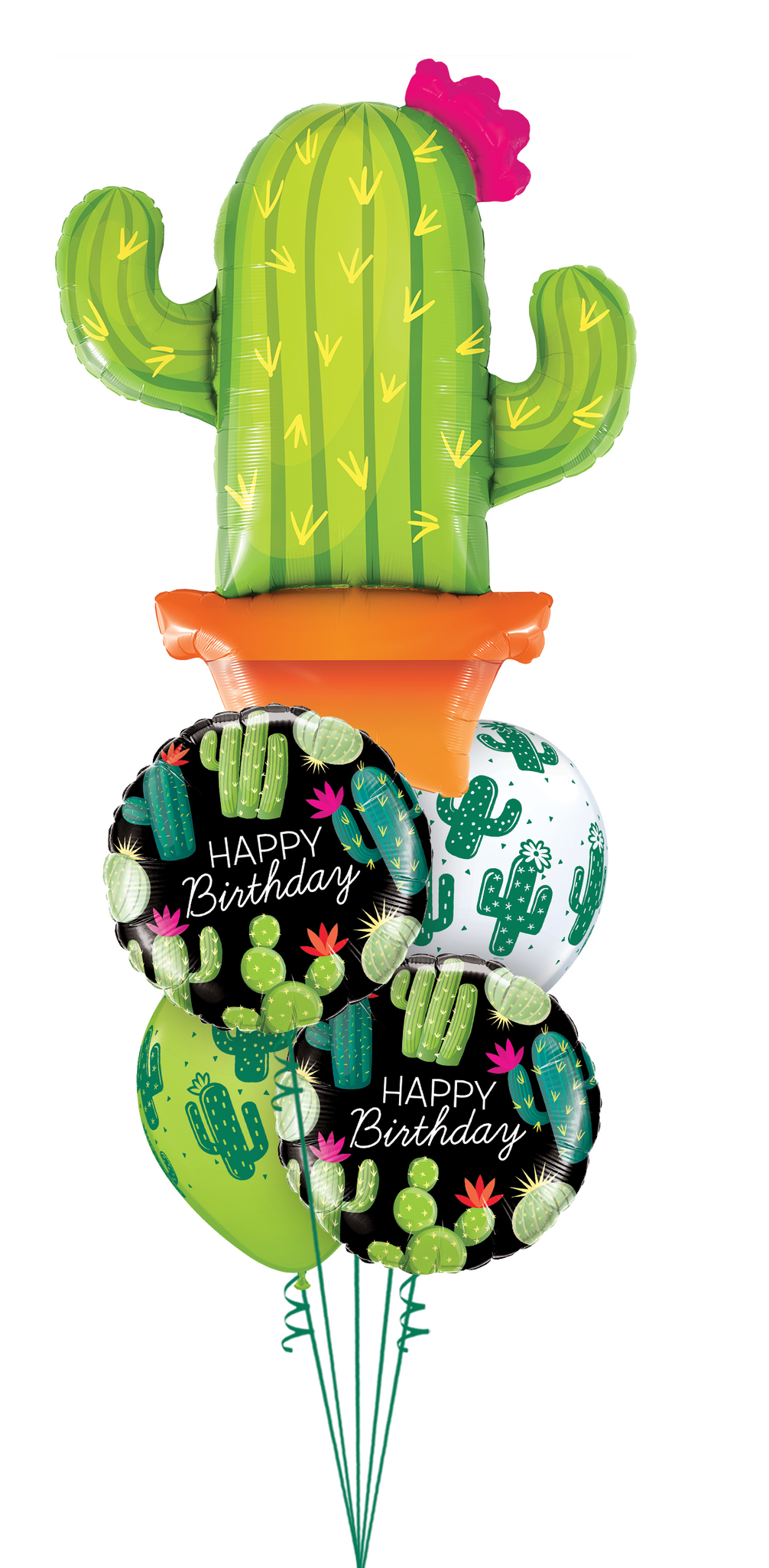 Happy Birthday Cacti