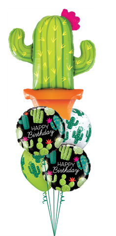 Happy Birthday Cacti