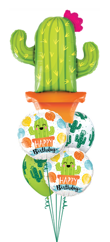 Little Cacti Birthday Guy