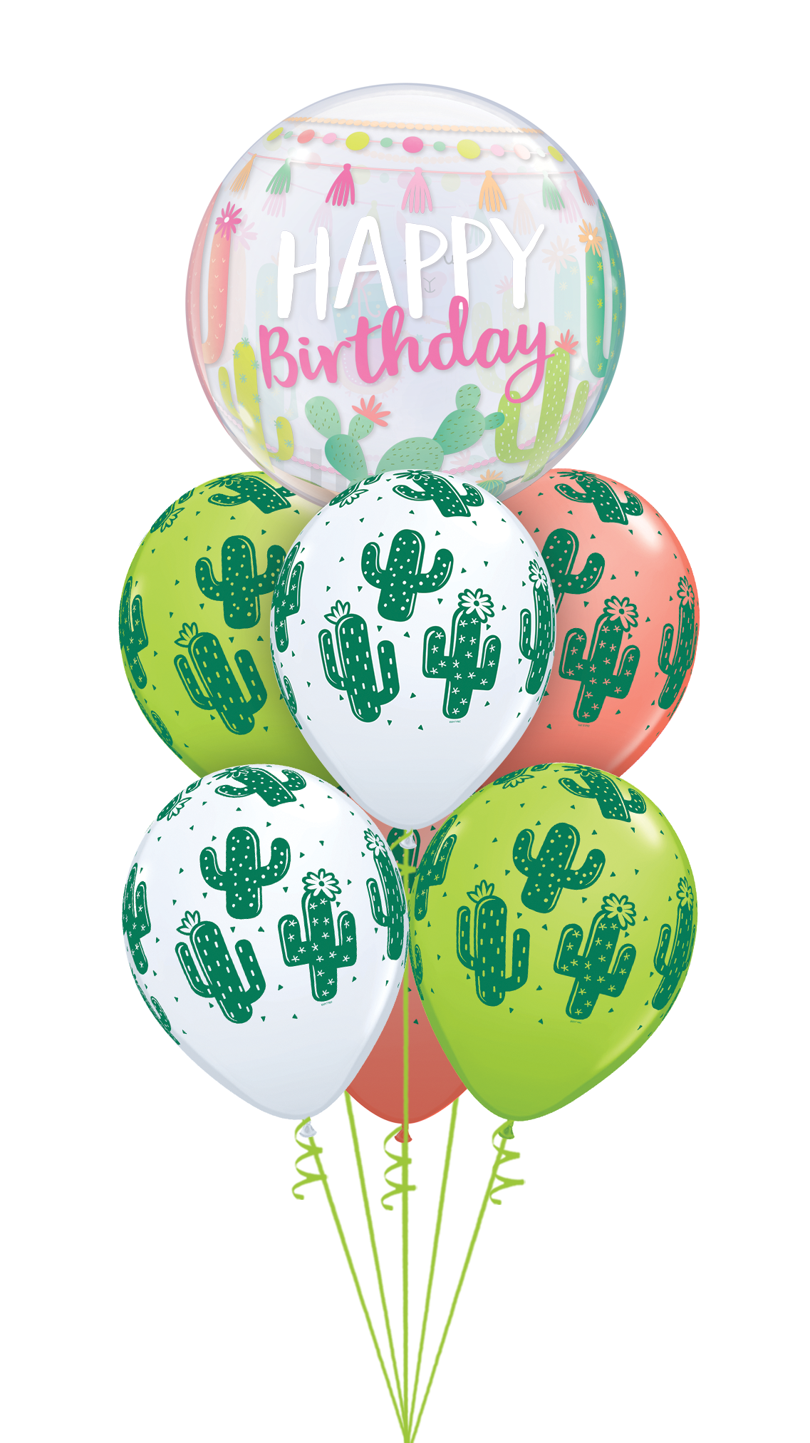 Cacti Birthday Bash